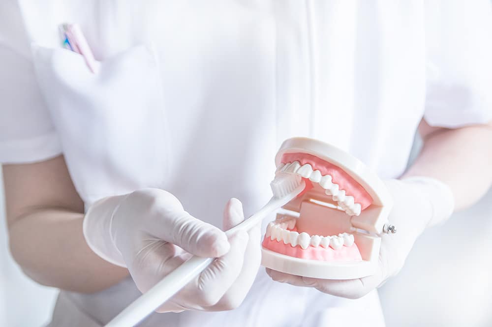 FDC dentist for kids showing how to brush teeth correctly